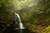 Jual Poster Waterfalls Forests 1Z 005