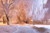 Jual Poster Winter Snow Trees 1Z 004