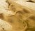 Jual Poster desert sand dunes storm hd WPS