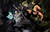 Poster Naruto Naruto Uzumaki Sasuke Uchiha Naruto Naruto APC008