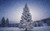 Jual Poster pine trees winter snowfall hd WPS
