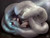 Jual Poster Ahri (League Of Legends) Video Game League Of Legends 574510APC