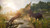 Jual Poster Assassin's Creed Assassin's Creed Origins 846873APC