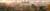 Jual Poster Assassin's Creed Assassin's Creed Unity 547996APC