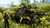 Jual Poster Battlefield Battlefield V 1048059APC