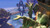 Jual Poster Bioshock Bioshock Infinite 402619APC