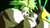 Jual Poster Broly (Dragon Ball) Dragon Ball Dragon Ball FighterZ 910640APC