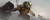 Jual Poster DOTA 2 Elder Titan 1ZM0540