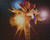 Jual Poster Dota DotA 2 675280APC