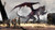 Jual Poster Dragon Age Dragon Age II 659895APC