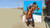 Jual Poster Fallout Fallout 4 783138APC