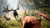 Jual Poster Far Cry Far Cry Primal 693028APC
