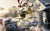 Jual Poster final fantasy xiii 06 GWP1114