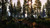 Jual Poster Forest Grand Theft Auto V Sun Grand Theft Auto Grand Theft Auto V 854108APC