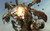 Jual Poster Gears of War Gears Of War 3 208460APC