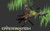 Jual Poster Genji (Overwatch) Overwatch Video Game Overwatch 708102APC