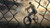 Jual Poster Grand Theft Auto Grand Theft Auto San Andreas 1052336APC