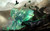 Jual Poster guild wars 2 11 GWP1324
