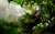 Jual Poster guild wars 2 23 GWP1336
