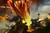 Jual Poster Guild Wars Guild Wars 2 237802APC