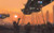 Jual Poster hawken 02 GWP1413