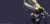 Poster Ruler (Fate Apocrypha) Fate Series Fate Apocrypha APCA