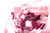 Jual Poster Laby (Elsword) Video Game Elsword 1002557APC