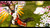 Jual Poster Mercy (Overwatch) Video Game Overwatch 828531APC
