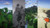 Jual Poster Minecraft Video Game Minecraft 882935APC