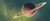 Jual Poster No Man's Sky Planet Space Video Game No Man's Sky 1084070APC