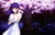 Poster Sakura Matou Fate Series Fate stay Night Movie Heaven's Feel APC001