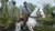 Jual Poster Red Dead Redemption 2 Horses Arthur Morgan White 1ZM1488