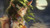 Jual Poster Soraka (League Of Legends) Video Game League Of Legends 693431APC