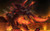 Jual Poster Starcraft II Zerg (Starcraft) Starcraft Starcraft II 371278APC Jual Poster Starcraft II Zerg (Starcraft) Starcraft Starcraft II 371278APC