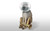 Jual Poster Team Fortress Team Fortress 2 266377APC
