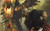 Jual Poster The Witcher The Witcher 2 Assassins Of Kings 479336APC
