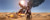 Jual Poster Uncharted Uncharted 3 Drake's Deception 1068154APC