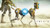 Jual Poster Video Game ReCore 601047APC