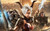 Jual Poster Video Game Tera 271593APC