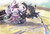 Poster Tenryuu (Kancolle) Anime Kantai Collection APC