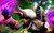 Jual Poster world of warcraft trading card game 33 GWP3398