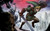 Jual Poster Zelda The Legend Of Zelda Twilight Princess 72029APC