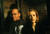 Jual Poster The X Files The X Files APC 031