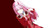 Poster Zero Two (Darling in the FranXX) Anime Darling in the FranXX APC004