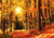 jual poster pemandangan musim gugur autumn 008
