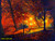 jual poster pemandangan musim gugur autumn 038
