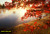 jual poster pemandangan musim gugur autumn 050