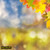 jual poster pemandangan musim gugur autumn 085