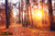 jual poster pemandangan musim gugur autumn 107