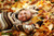 jual poster pemandangan musim gugur autumn 134